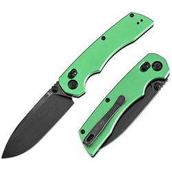 T1001V1