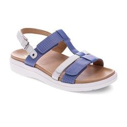 Blue Multi