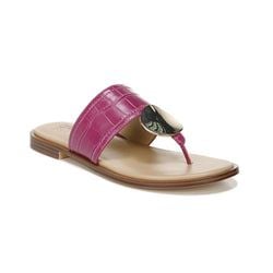 Hibiscus Croc