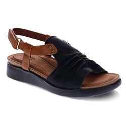 Black/Brown