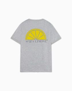 Color – American Grey