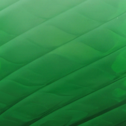 Color – Forest Swirl