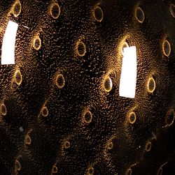 Color – black