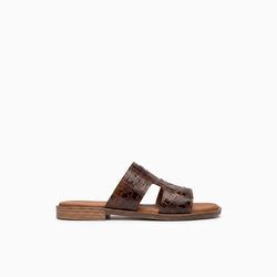 Color – Brown