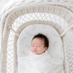 Style – Gold Fern