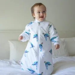 Design – Sea Turtle