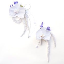 Color – White C