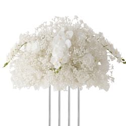 Color – White F