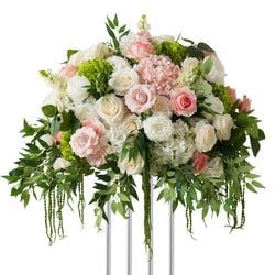 Color – Green Pink