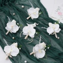 Color – White D