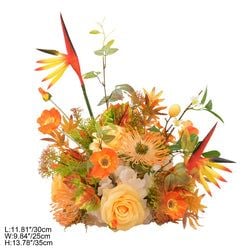 Color – Orange