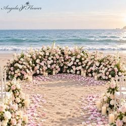 Color – Pink white