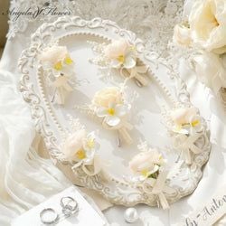 Color – Champagne A