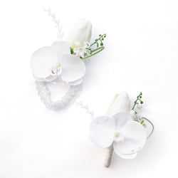 Color – White D