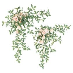 Color – Pink C
