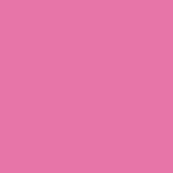 Colour – Fuchsia