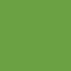 Colour – Metallic Light Green