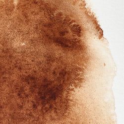 Colour – Burnt Umber