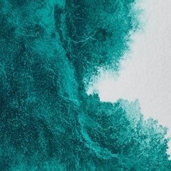 Colour – Winsor Green (Blue Shade)