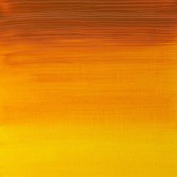 Colour – Indian Yellow