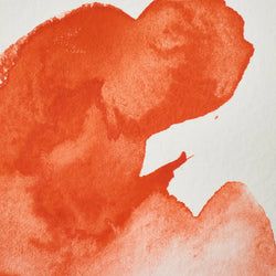 Colour – Fields Orange