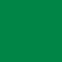 Colour – Metallic Green