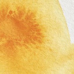 Colour – Cadmium Yellow Deep