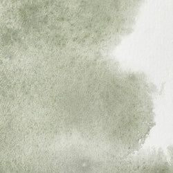 Colour – Davy's Gray