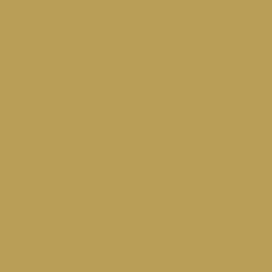 Colour – Metallic Champagne Gold