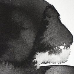 Colour – Lamp Black