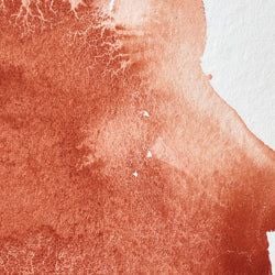 Colour – Light Red