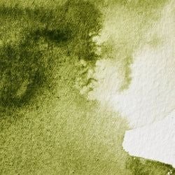 Colour – Olive Green