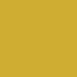 Colour – Metallic Gold