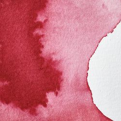 Colour – Permanent Carmine