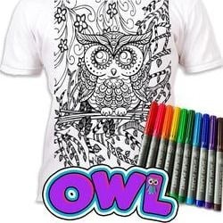 Design – Owl