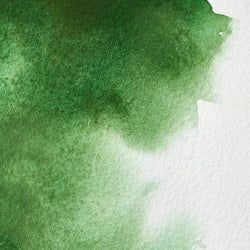 Colour – Hooker's Green