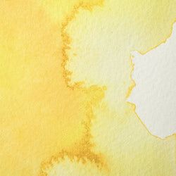 Colour – Aureolin