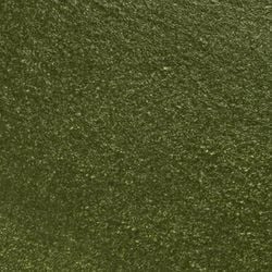 18ml Colour – Sparkle Green