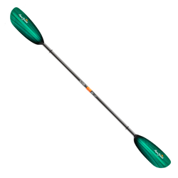 Color – Green Tide