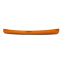 Color – Orange
