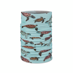Turquoise Turtles