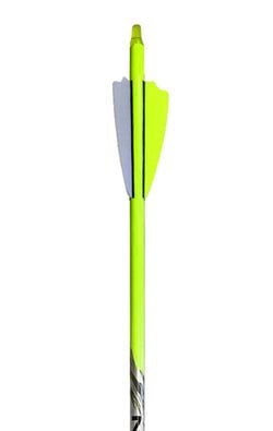 Color – 300 Spine .003