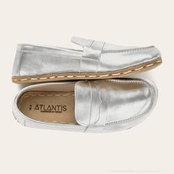 Color – Silver