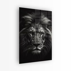Materiaal – Plexiglas