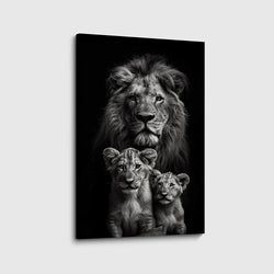 Materiaal – Canvas