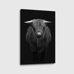 Materiaal – Canvas