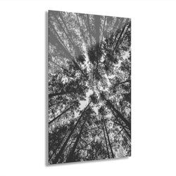 Materiaal – Plexiglas