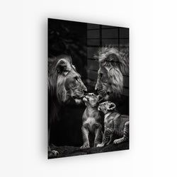 Materiaal – Plexiglas
