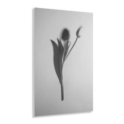 Materiaal – Plexiglas