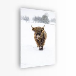 Materiaal – Plexiglas
